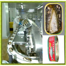 Máquina automática de atum enlatada de aço inoxidável